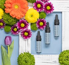 Logo da Minneapolis-Based Skincare & Fine Art Photography