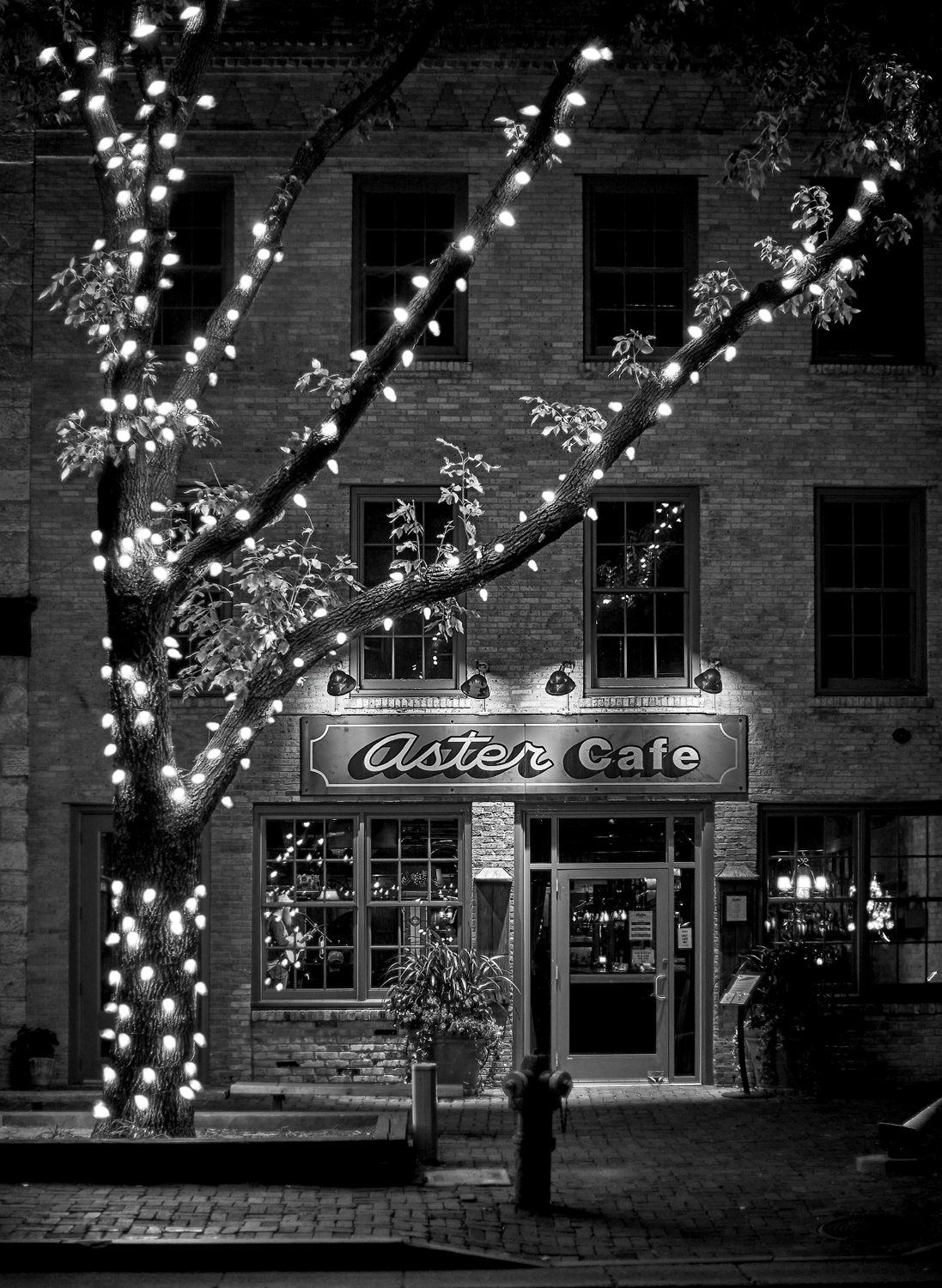 Aster Cafe 5x7 Pack of 10 Folded Cards with White Envelopes