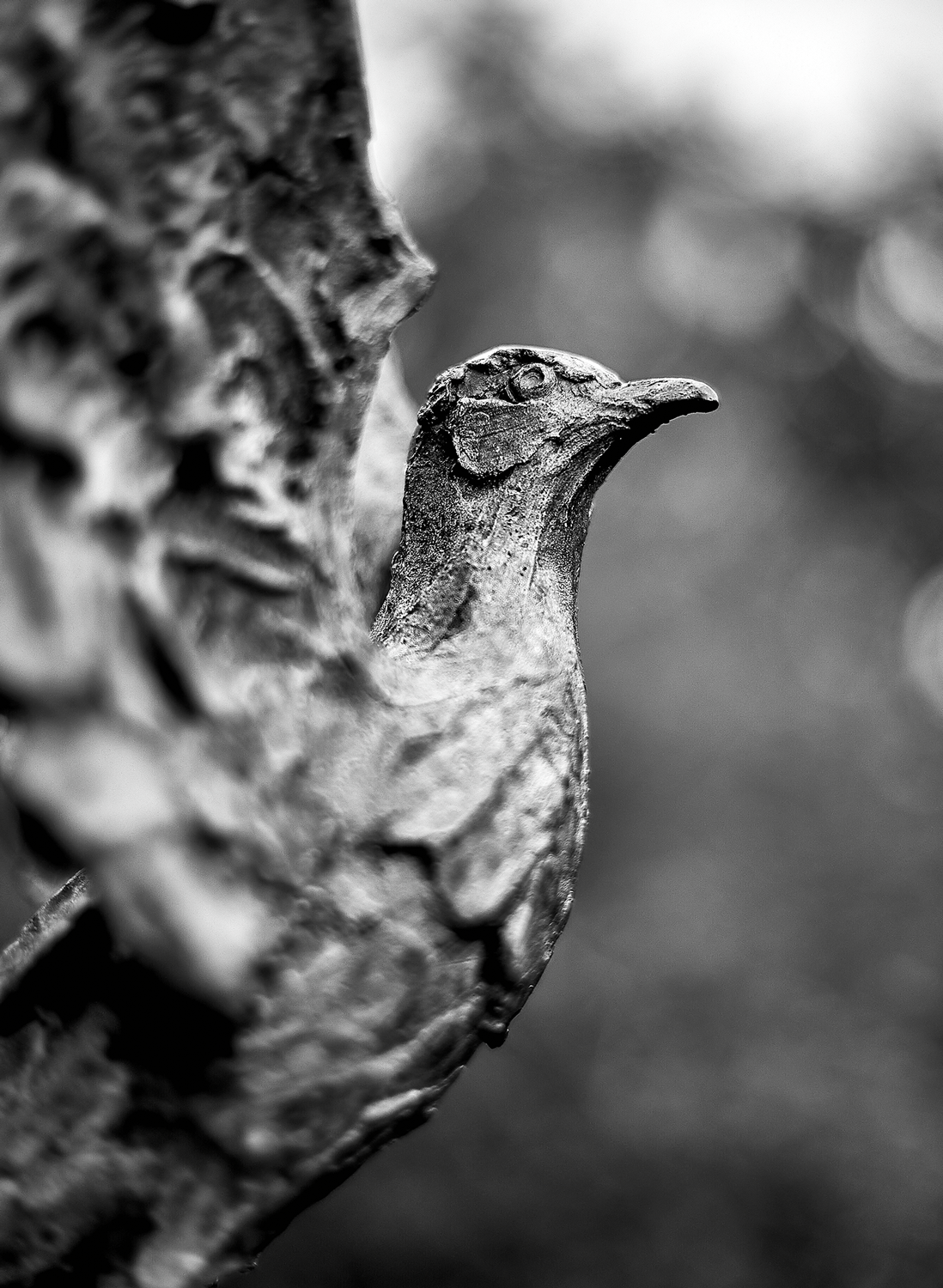 Ready for Flight<br>5x7 Pack of 10 Folded Cards with White Envelopes