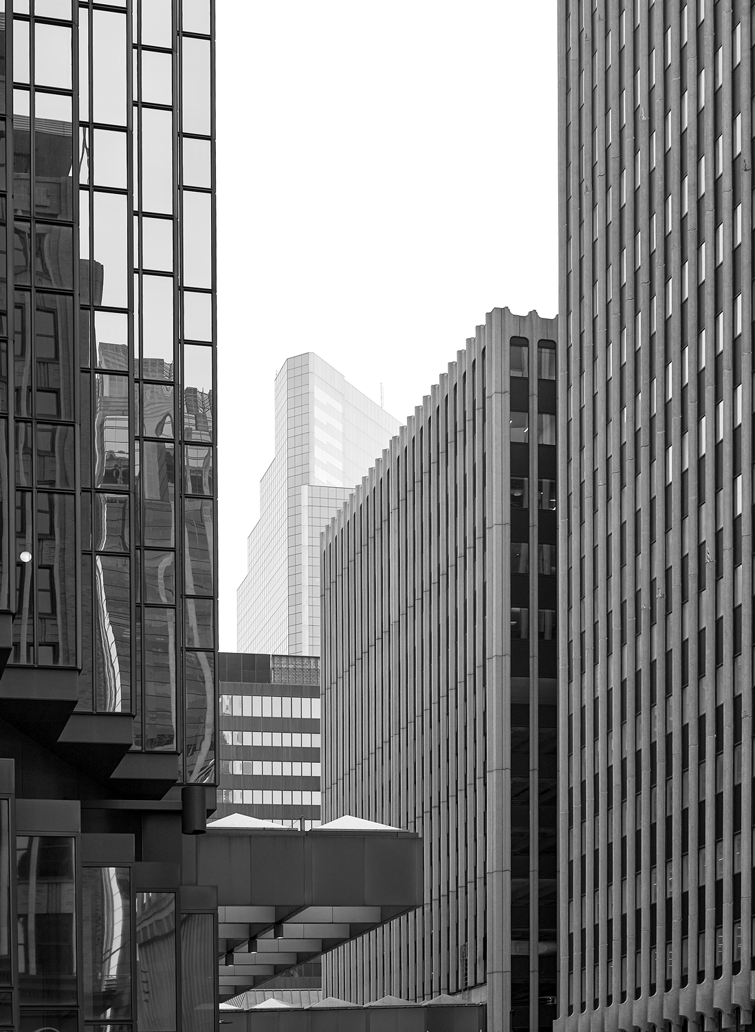 In the Distance<br>5x7 Pack of 10 Folded Cards with White Envelopes