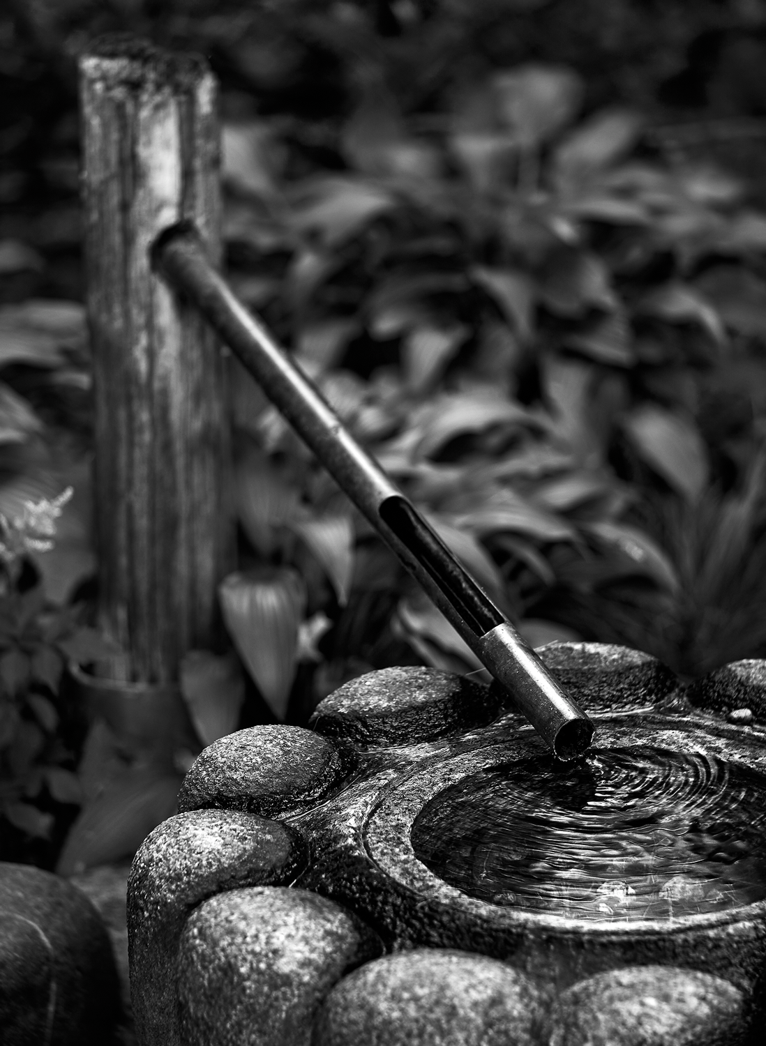 Zen Moment<br>5x7 Pack of 10 Folded Cards with White Envelopes