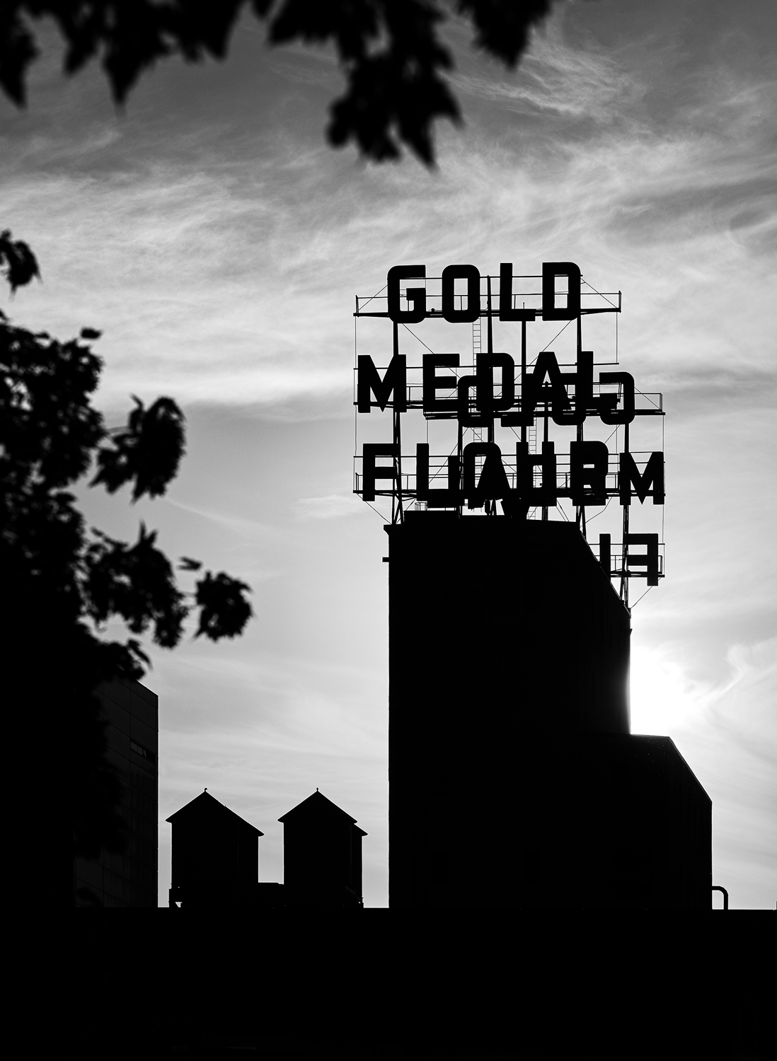 Sunset at Gold Medal<br>5x7 Pack of 10 Folded Cards with White Envelopes