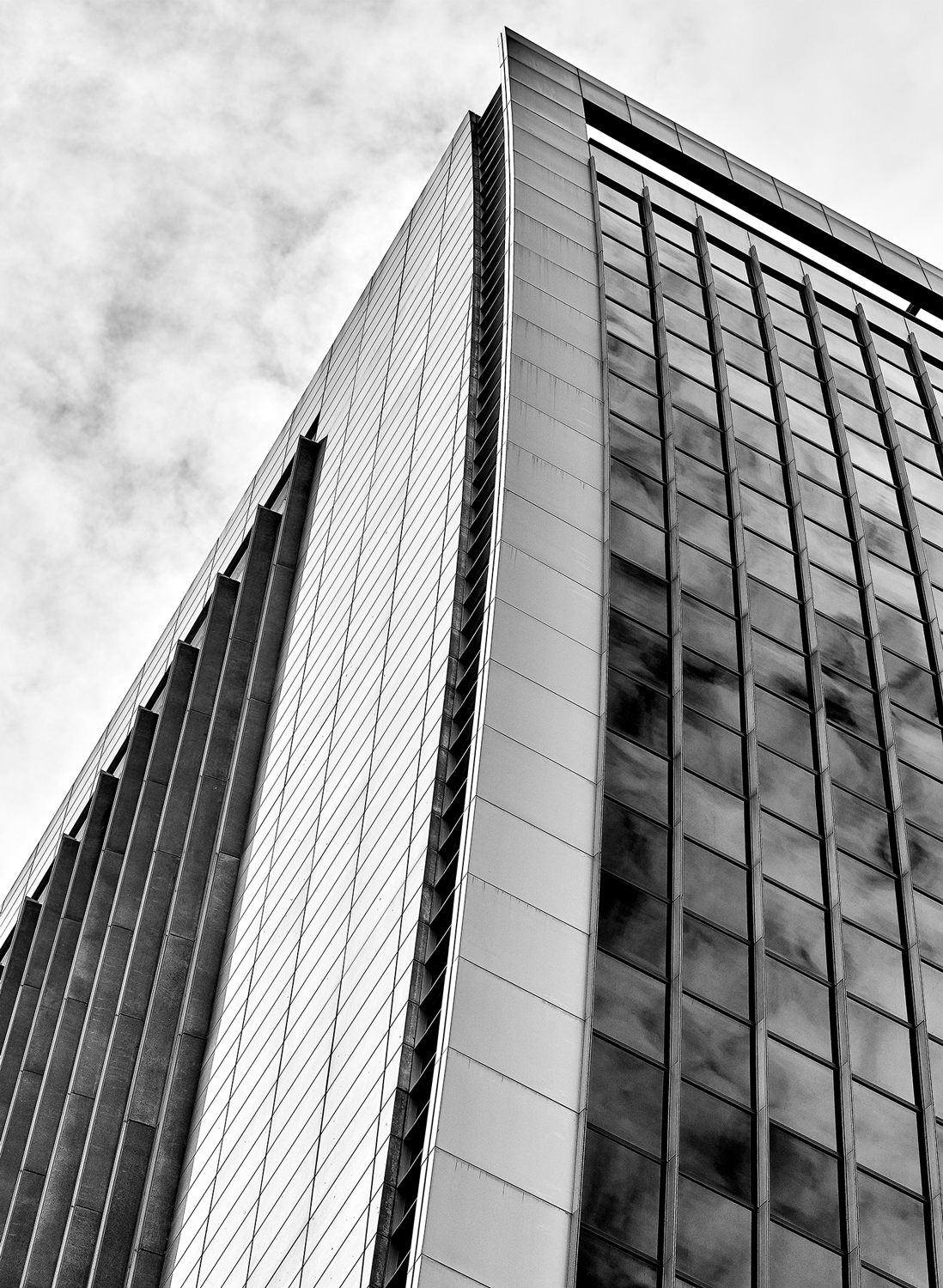 Arching to the Sky<br>5x7 Pack of 10 Folded Cards with White Envelopes