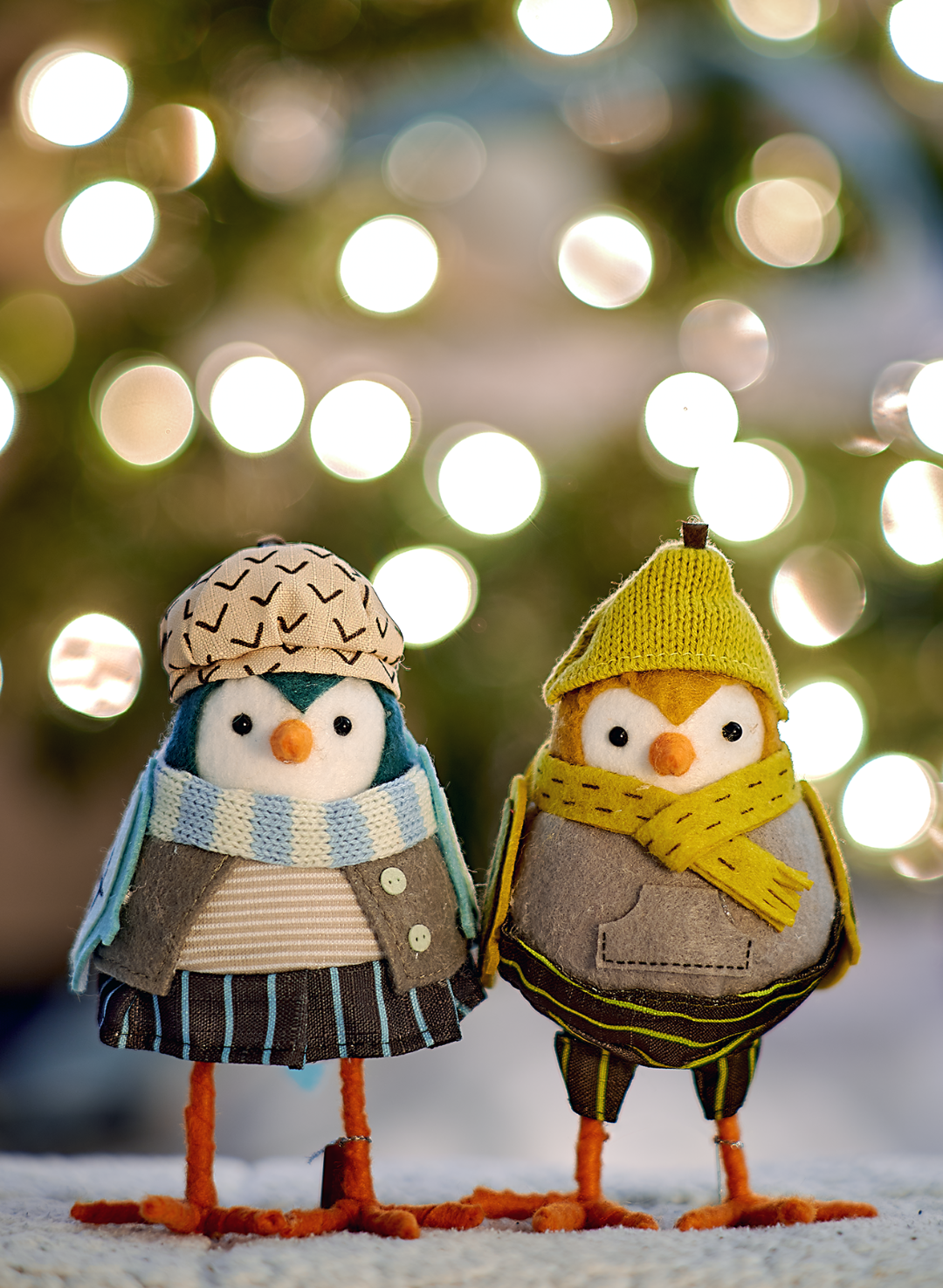 Holiday Pair<br>5x7 Pack of 10 Folded Cards with White Envelopes